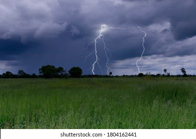 Strong lightning and rain over forest and green grass field - Powered by Shutterstock