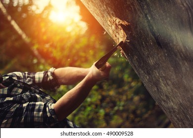 Strong lumberjack chopping a tree trunk in the forest - Powered by Shutterstock