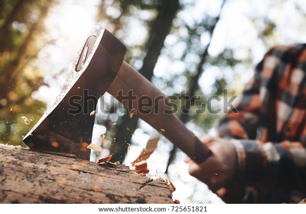 Strong lumberjack in plaid shirt chops tree in\
wood with sharp ax, close up axe, wood chips fly. Horizontal,\
blurred Background