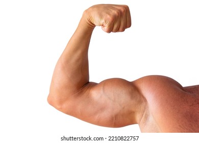 Strong Male Hand With Fist, Muscular Biceps, Forearm And Shoulder Isolated On White Background