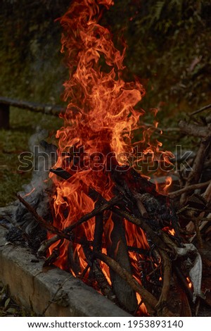 Strong red fire with sticks burned pieces of charcoal and paper with green bottom and full of wood