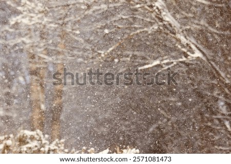 Strong snowfall. Snow falling from trees.  Winter background. Poor visibility during snowfall. Seasonal natural phenomena. Blurred background.