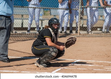 Strong softball player in black uniform waiting for the sign from coach.  - Powered by Shutterstock