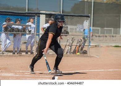 Strong Softball Player In Black Uniform Dropping The Bat While Running To First. 