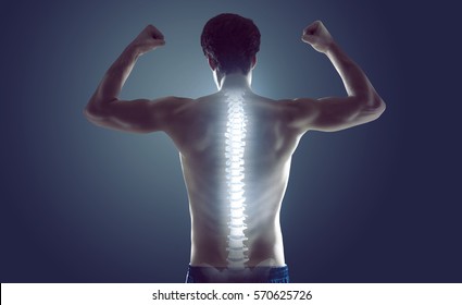 Strong spine - Shutterstock ID 570625726