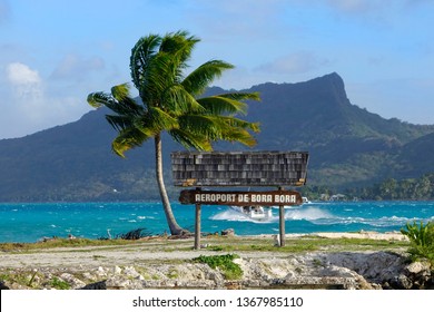 Strong Summer Wind Blows Past A Lonely Palm Tree By A Cool Wooden Airport Sign In Picturesque Bora Bora. Stunning View Of The Turquoise Ocean Water And The Lush Greenery Covering The Paradise Island.