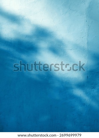 Strong sunlight creating clear tree shadow on blue wall.