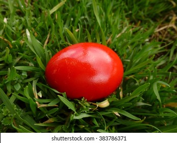 A strong symbol for easter
