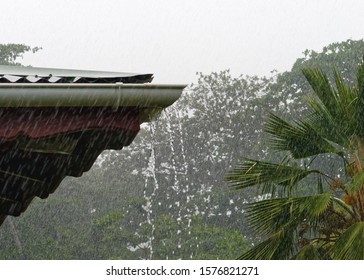 Strong tropical rain falls in a wooded area, in the foreground a house roof, from the gutter flows a lot of water - Location: Seychelles, La Digue