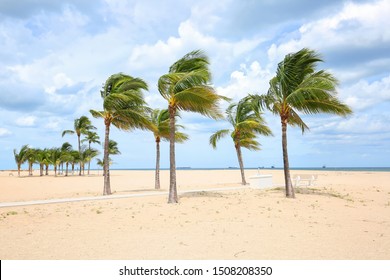 Strong winds sway palm trees as Hurricane Dorian passes the east coast of Florida. - Shutterstock ID 1508208350