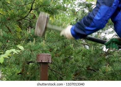 Force generated by swinging hammer, free wandering wife sex stories