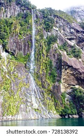 strongly overgrown rock face with waterfall, Milford Sound - Shutterstock ID 728138392