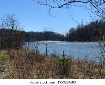 Strouds Run State Park, Dow Lake. Lakeview Trail View. 