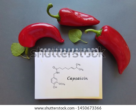Structural chemical formula of capsaicin molecule with red chili peppers. Capsaicin is a chili pepper extract with analgesic properties, and an active component of chili peppers.