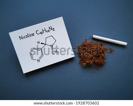 Structural chemical formula of nicotine molecule with tobacco dry heap and handmade cigarette. Nicotine is a plant alkaloid, found in the tobacco plant. It is a major component of cigarettes.