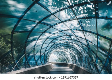 Structural glass facade curving roof and the wooden pathway inside. Modern and Contemporary architectural fiction with glass steel column.Abstract architecture fragment.   Anyang Art Park in Korea - Shutterstock ID 1191667357