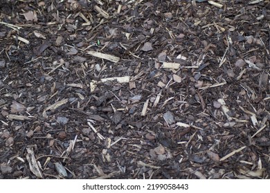 Structure Of The Bark Mulch, Bed Cover