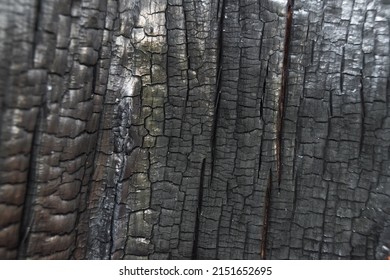 Structure of burnt tree trunk, charred log as background. Consequences of fire, danger of flame in forest - Powered by Shutterstock