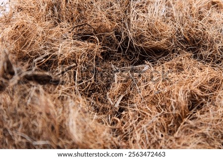 Structure of Coco coir, a fabric made of coconut fiber. Recycle