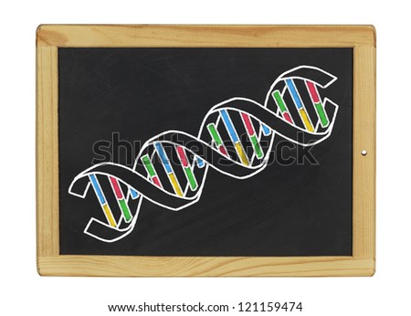  structure of DNA on a blackboard