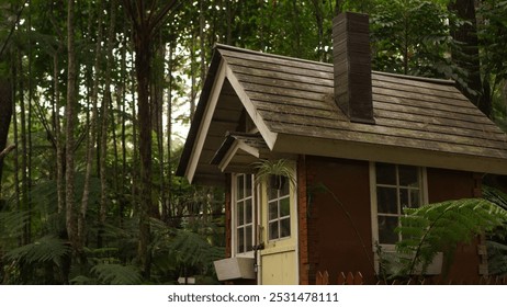 Structure in the Heart of the Pine Forest, This charming structure, nestled in the midst of a lush pine forest, offers a unique escape into nature while providing a delightful space for visitors.