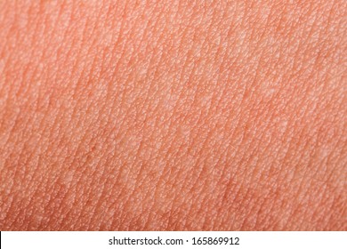 Structure of Human skin close up. - Shutterstock ID 165869912