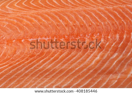 structure of the meat of salmon is filmed close up. fish background. top view