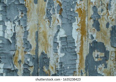 The structure of the old tree. The paint is climbing off the wall. Old paint. The structure of the old paint. Old vintage door