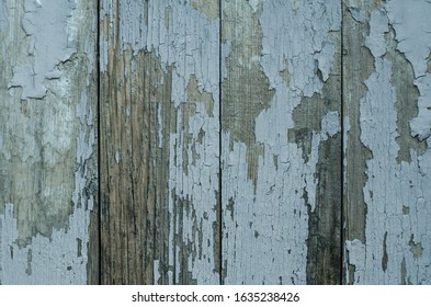 The structure of the old tree. The paint is climbing off the wall. Old paint. The structure of the old paint. Old vintage door