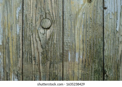 The structure of the old tree. The paint is climbing off the wall. Old paint. The structure of the old paint. Old vintage door