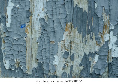 The structure of the old tree. The paint is climbing off the wall. Old paint. The structure of the old paint. Old vintage door