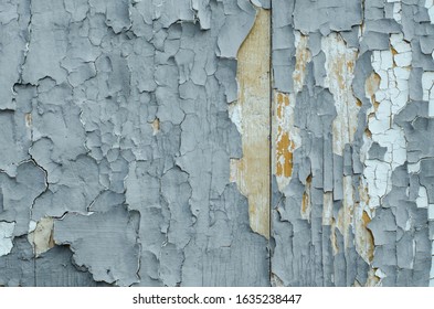 The structure of the old tree. The paint is climbing off the wall. Old paint. The structure of the old paint. Old vintage door