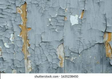 The structure of the old tree. The paint is climbing off the wall. Old paint. The structure of the old paint. Old vintage door