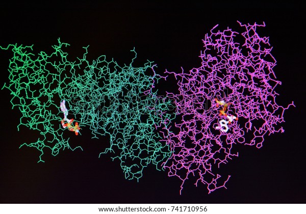 Protein Molekulunun Yapisi Siyah Bir Arka Stok Fotografi Simdi Duzenle 741710956