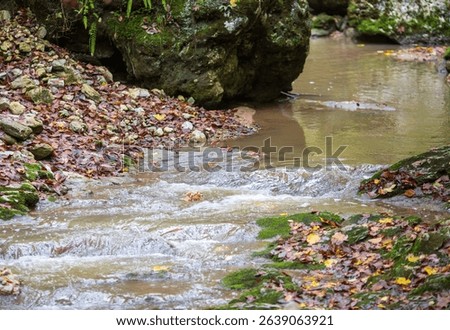 the structure of the stone bottom of a shallow river on a sunny day, a variety of shapes and mosaics
