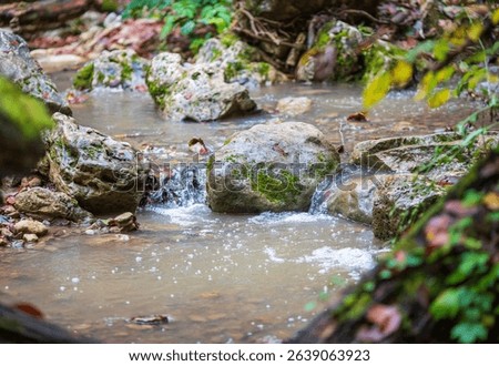 the structure of the stone bottom of a shallow river on a sunny day, a variety of shapes and mosaics