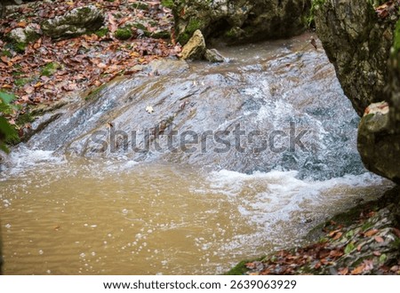 the structure of the stone bottom of a shallow river on a sunny day, a variety of shapes and mosaics