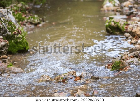 the structure of the stone bottom of a shallow river on a sunny day, a variety of shapes and mosaics