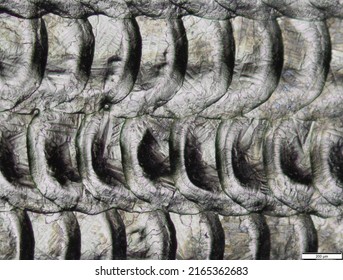 Structure Of Titanium Under A Microscope. Metal Surface Laser Treatment. The Surface Of The Titanium Alloy Sample. Laser Processing