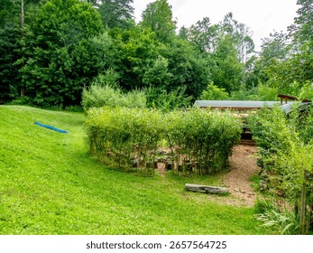 Structures with willow trees in the forest kindergarten