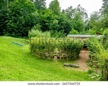 Structures with willow trees in the forest kindergarten