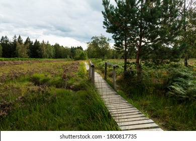 Struffelt Heathland And Moorland In The North Eifel Nature Park