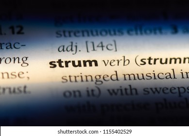 Strum Word In A Dictionary. Strum Concept.