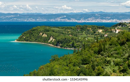 Strunjan Bay In Coast Of Slovenia