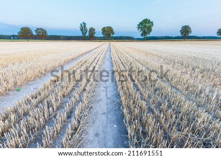 Similar – Image, Stock Photo stubble field Landscape