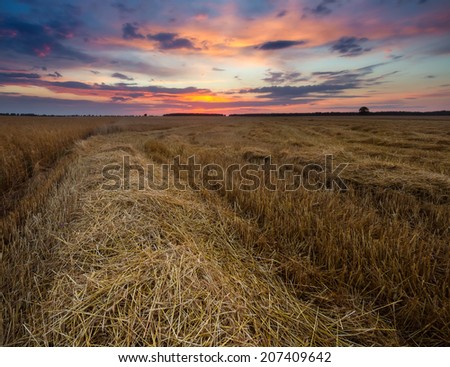 Similar – Image, Stock Photo stubble field Landscape