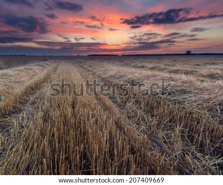 Similar – Image, Stock Photo stubble field Landscape