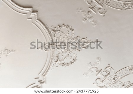 Stucco ceiling with floral Rococo elements