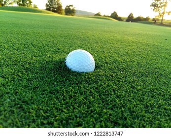 Stuck Golf Ball On The Green