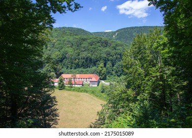 Stud Farm Seen Throug The Woods In Summer